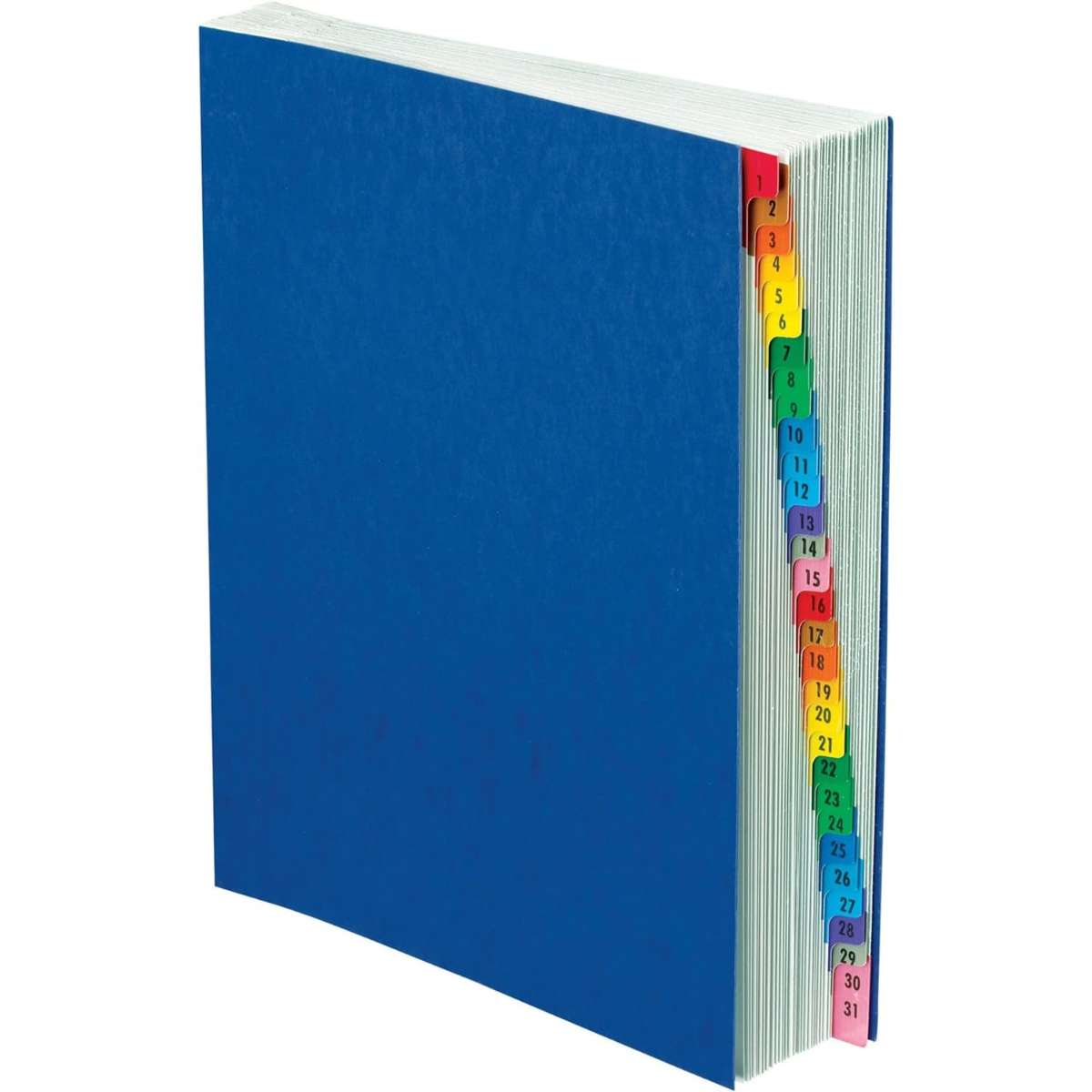 Pendaflex Extended Desktop file Blue, black