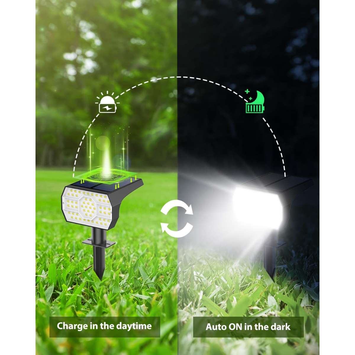 Cassida Solar Spotlight Outdoor Waterproof