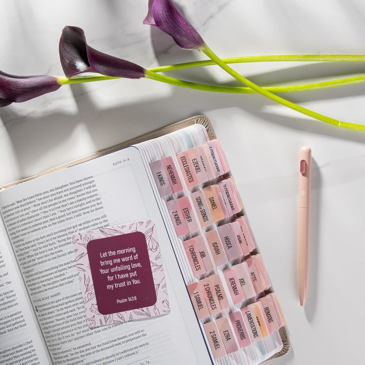 DIVERSEBEE Bible Verse Cards