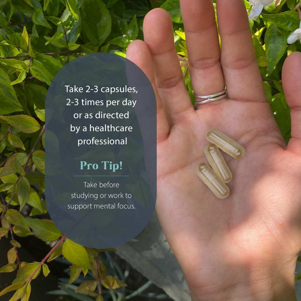 Dragon medicine - Dao in bottle capsules