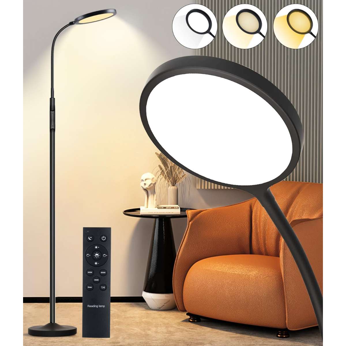 Tenmiro LED Floor Lamp for Living Room (Black)