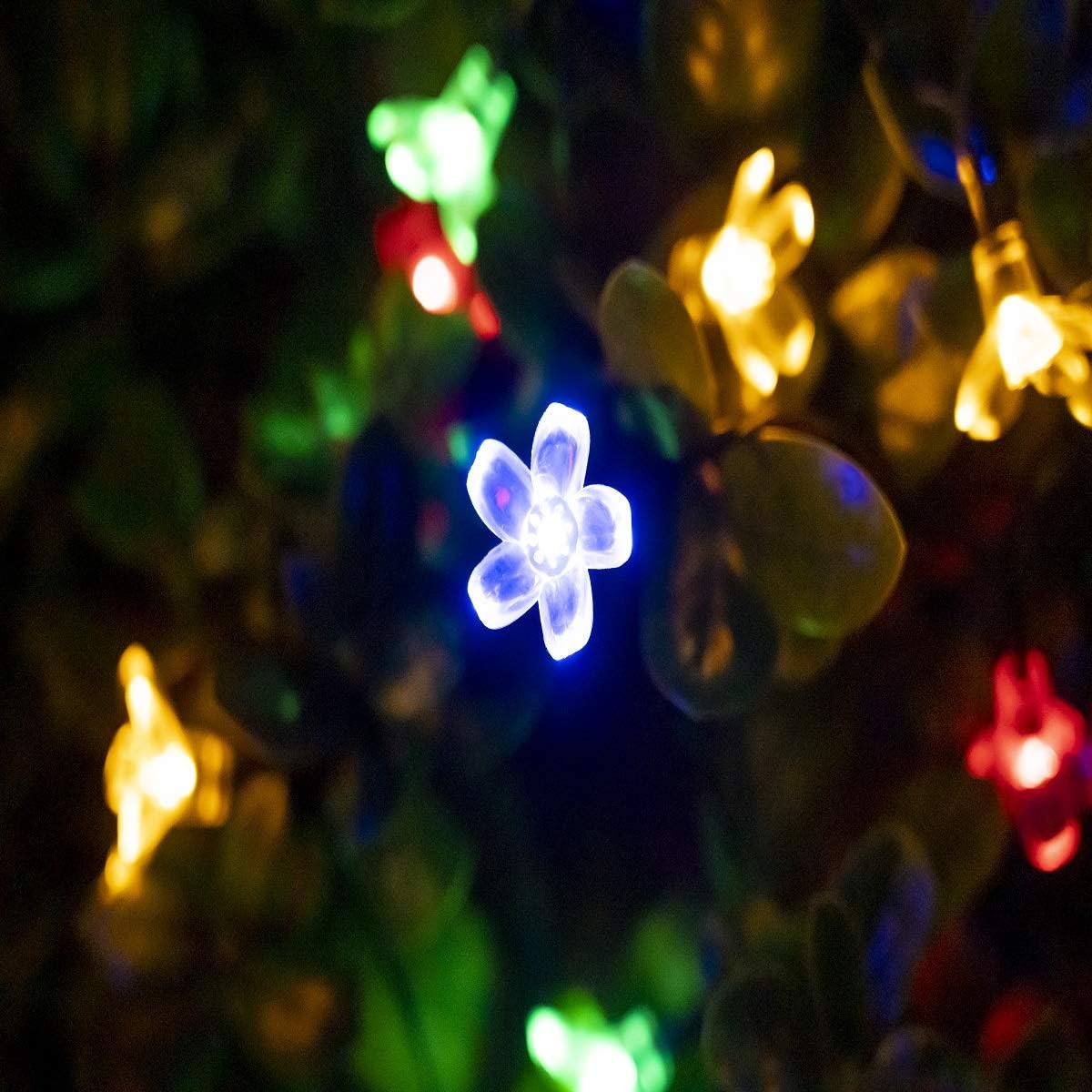 Solar String Lights Outdoor Waterproof 50 LED (Multicolor)