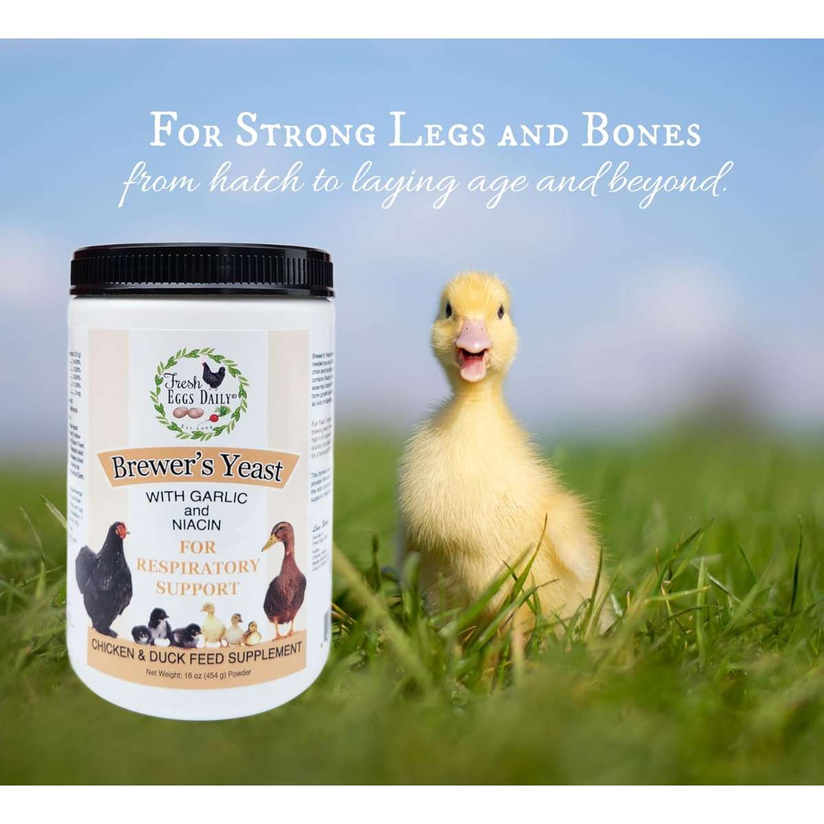 Vitamin supplement for young ducks with fresh eggs