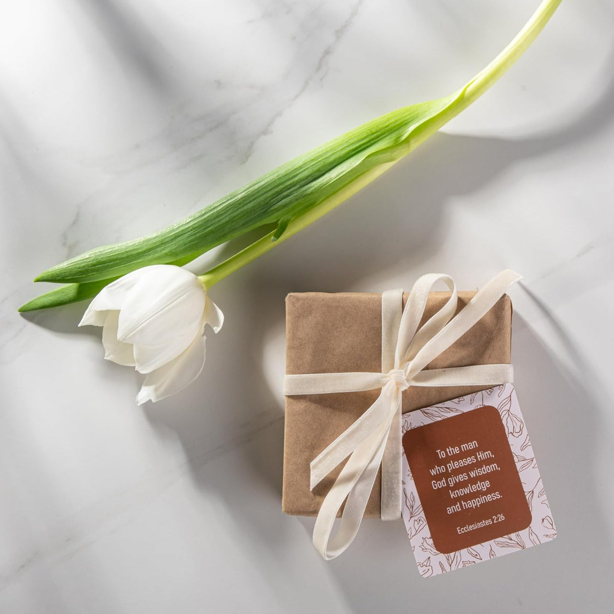 DIVERSEBEE Bible Verse Cards
