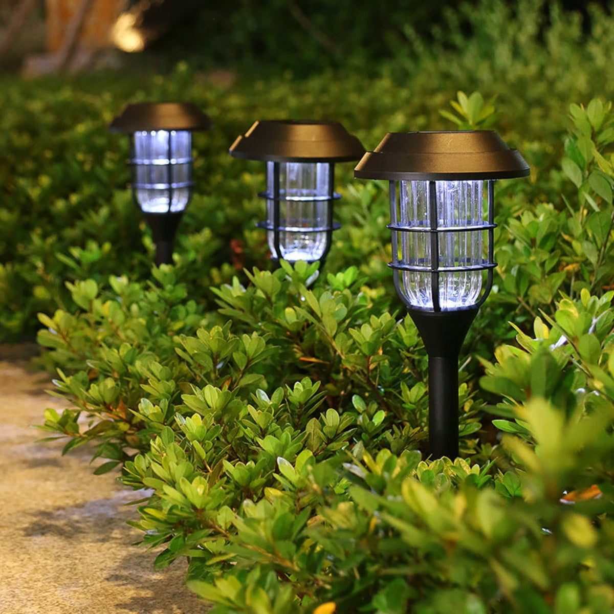 solar lawn light