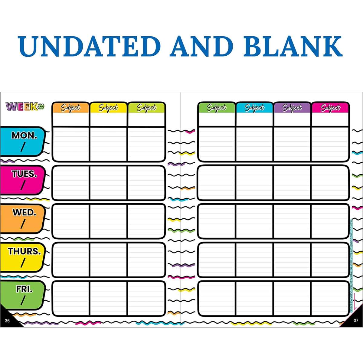 Carson Dellosa Kind Vibes Teacher Planner