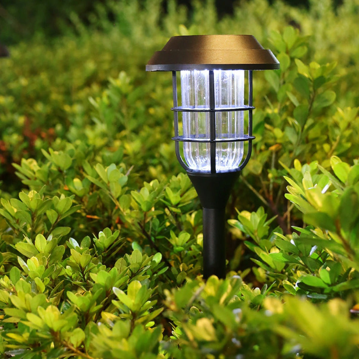 solar lawn light
