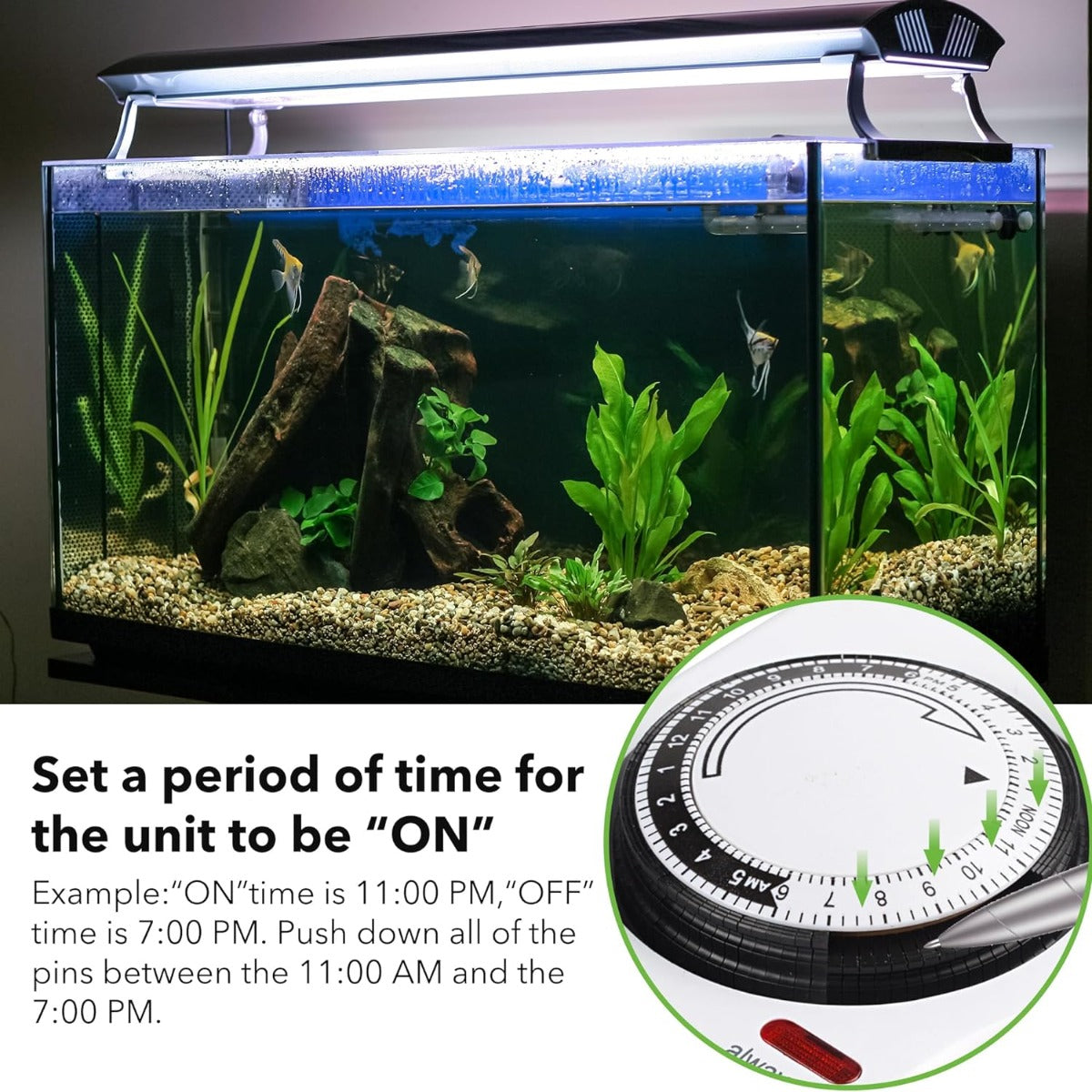 BN-LINK socket surge protector with mechanical timer