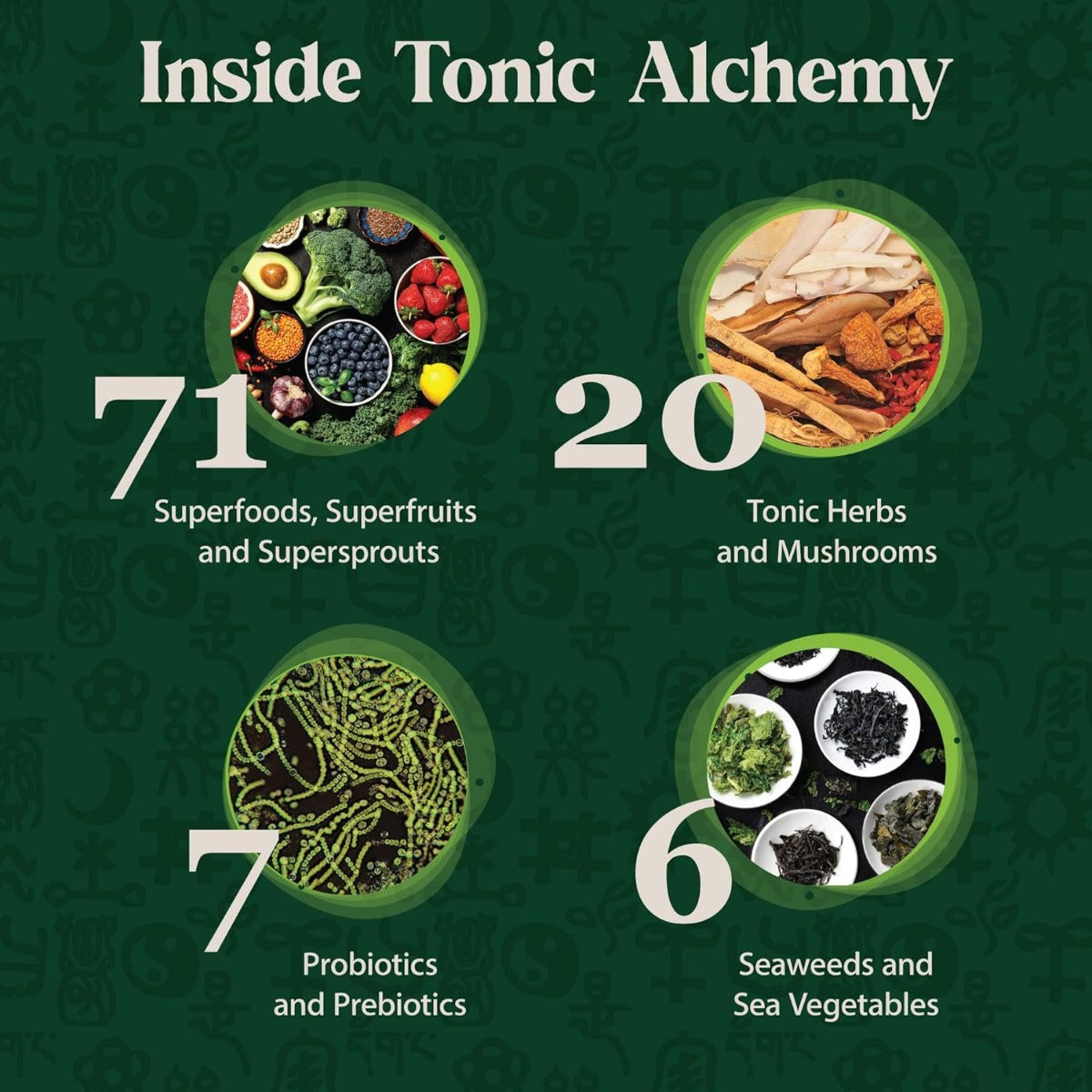 Dragon Medicine Tonic Alchemy Green superfood powder
