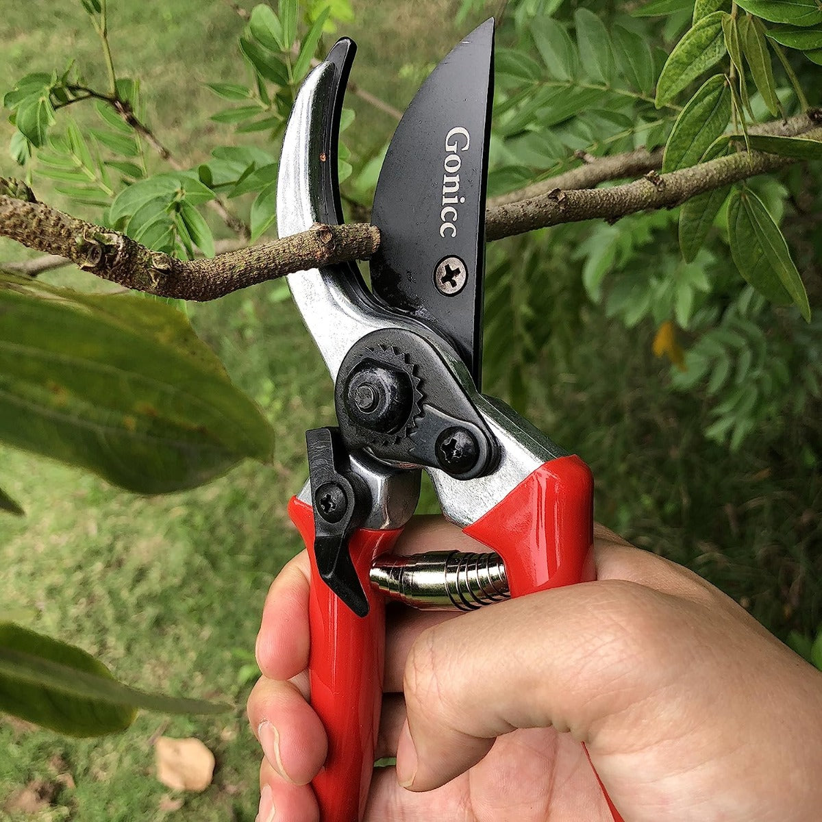 8 "Professional Sharp Bypass Clippers (GPS-1002)