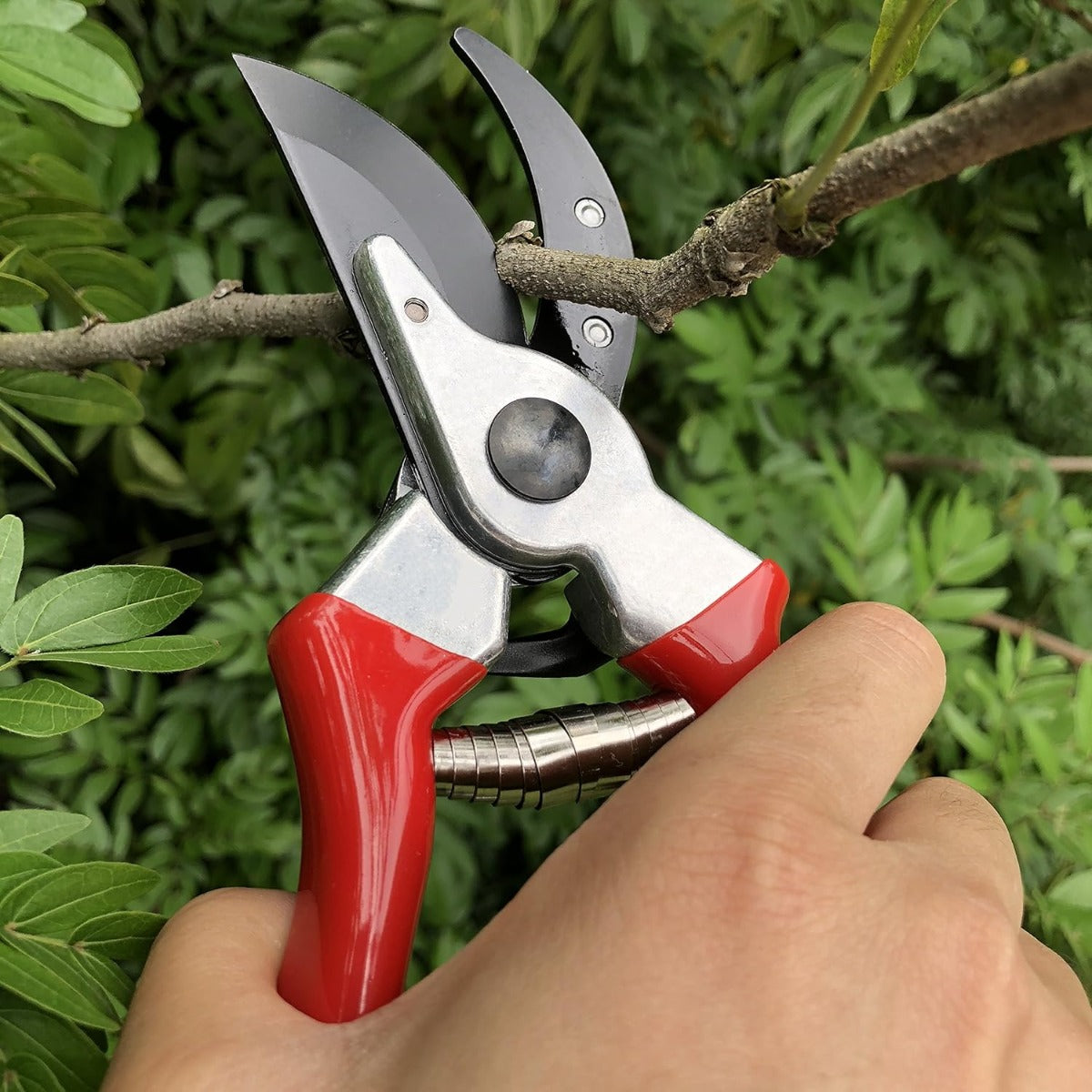 8 "Professional Sharp Bypass Clippers (GPS-1002)