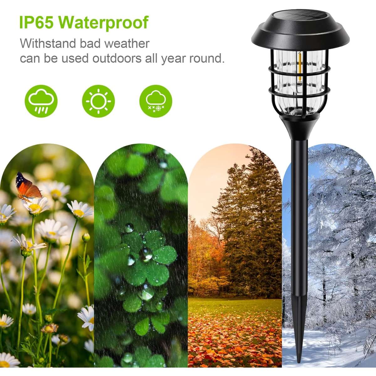 LETMY Solar Street Light Outdoor