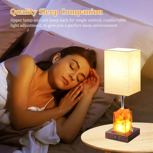 Dott Arts Touch Table Lamp with USB port and AC power outlet