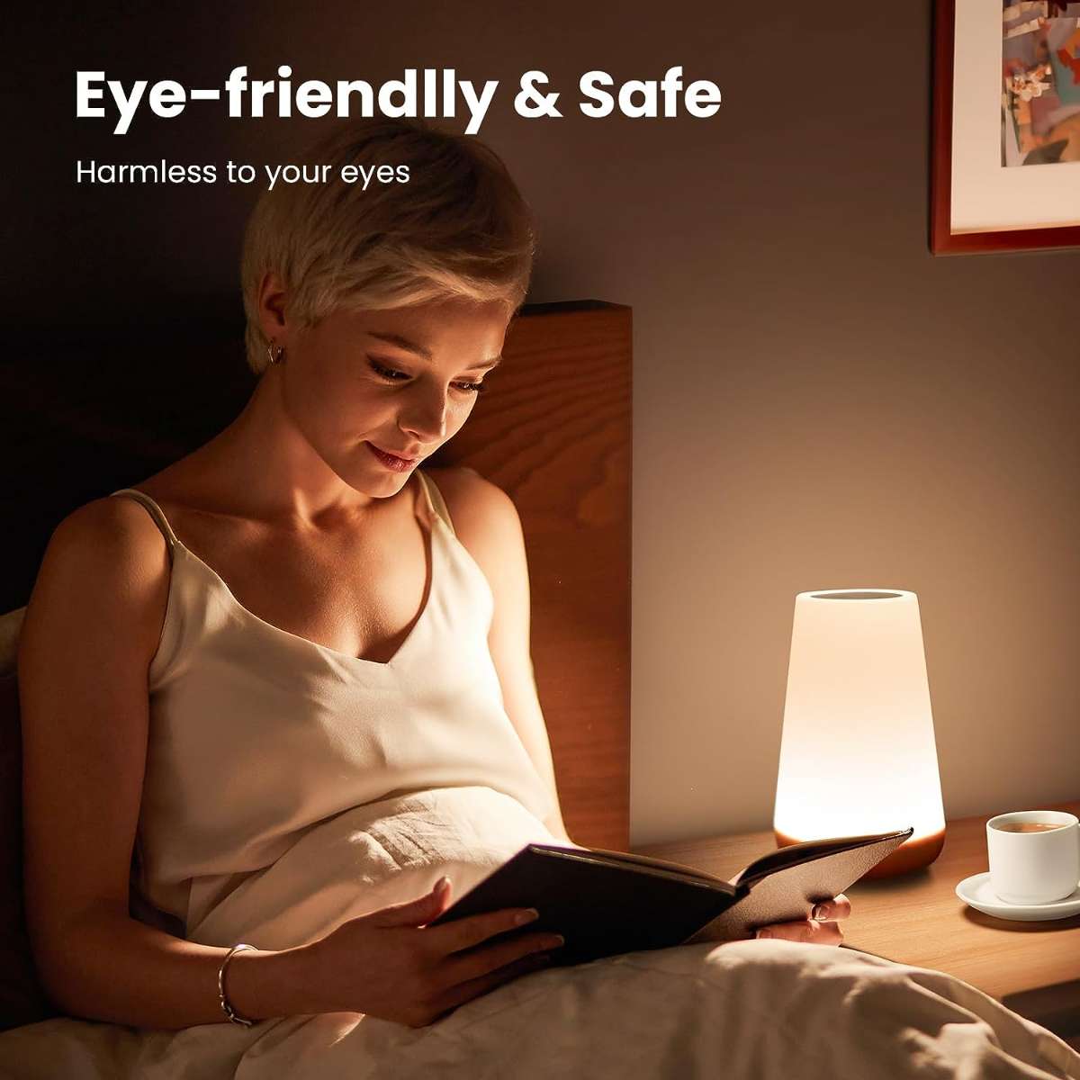 Taosdath night light, dimmable touch light in the bedroom
